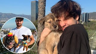 VLOG SQUAD AND THEIR PETS! (SO ADORABLE!!!) (TRY NOT TO AWWEEE!!!)
