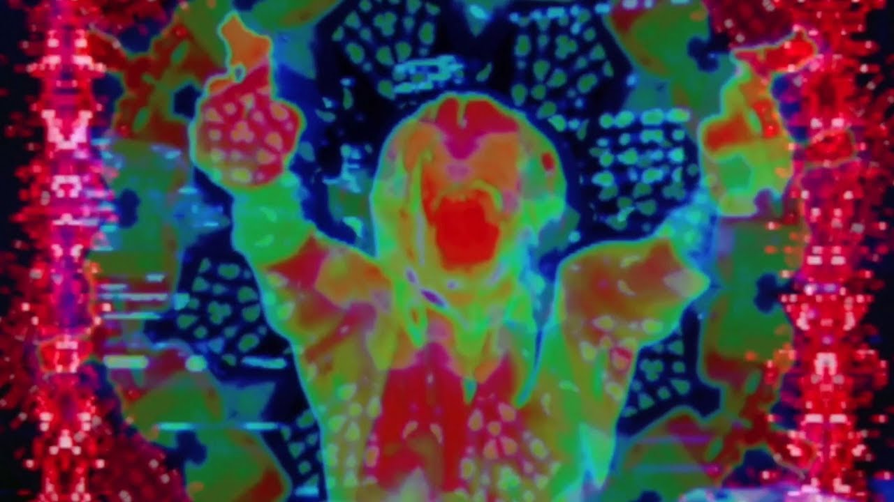 Run Vaylor - Predator