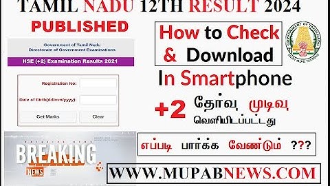 how to check 12th result 2024 tamil nadu - TN 12th result published live @ tnresults.nic.in