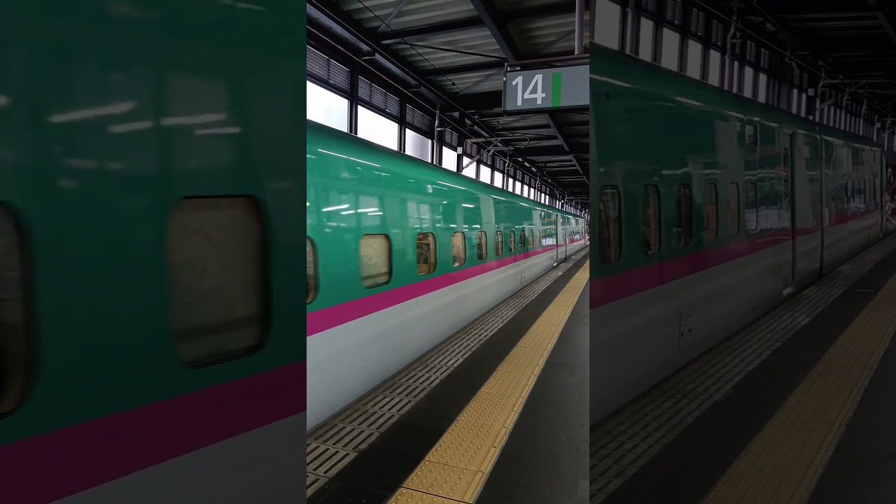 Shinkansen Trains