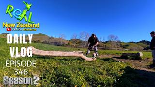 A relaxing Sunday getting firewood [Life in New Zealand season 2#346]