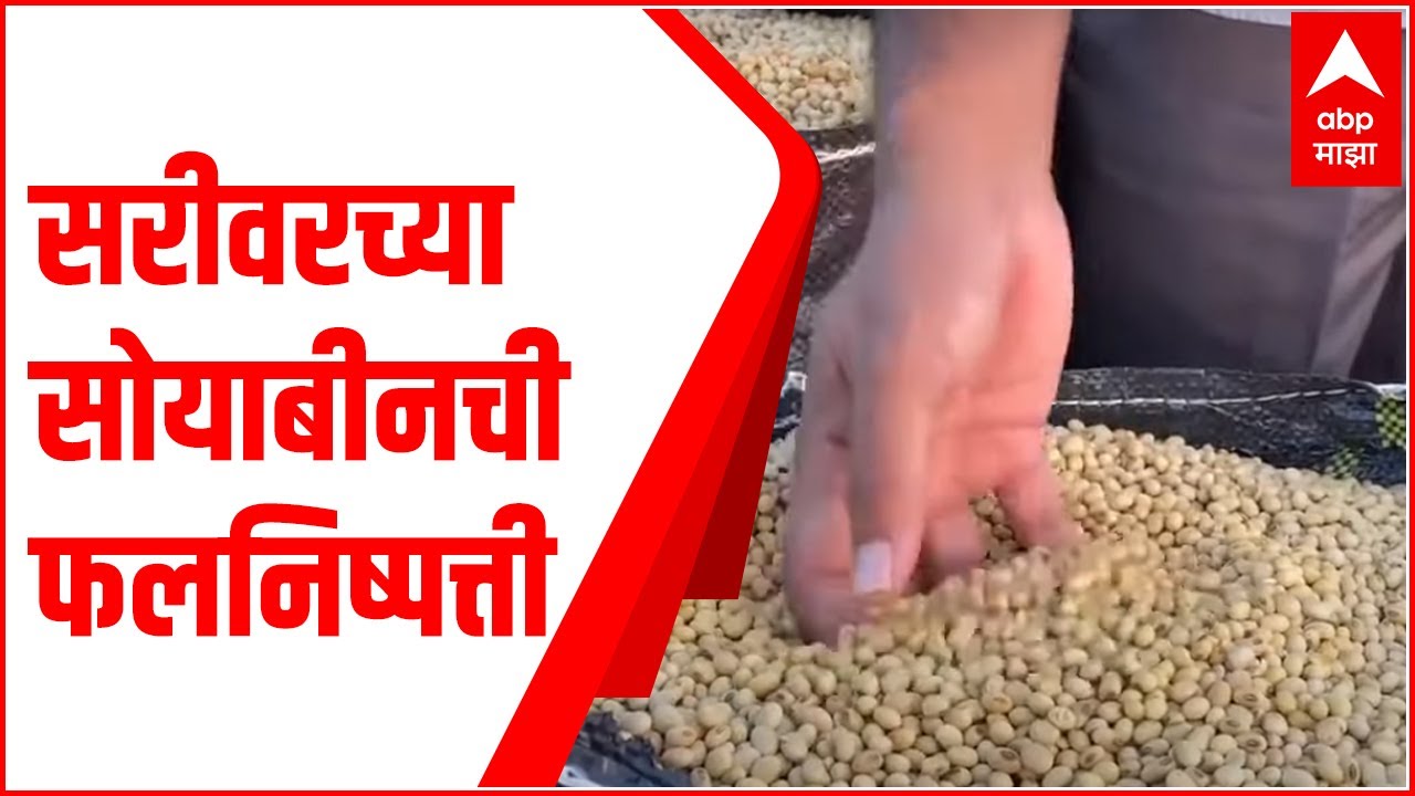 Osmanabad | सरीवरच्या सोयाबीनची फलनिष्पत्ती.. अतिवृष्टी नंतरसुद्धा एकरी 12 ते 17 क्विंटलचा उतार