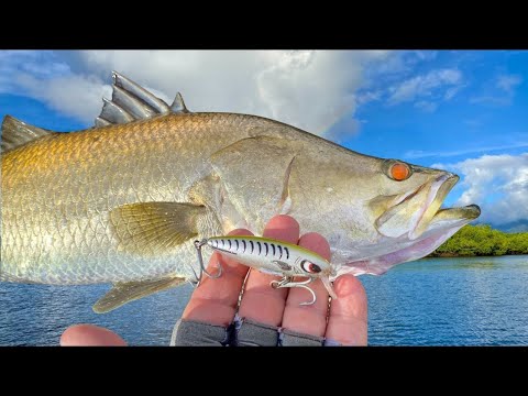 Getting The Bite...