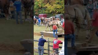 Ferrum fall festival Oct.2019