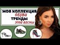 Моя коллекция - 100 пар обуви | Тренды обуви весна-лето 2019 | Карина Нигай