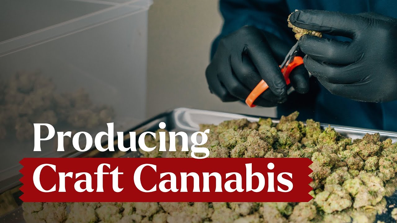 Producing Premium Craft Cannabis Products | All Nations Cannabis