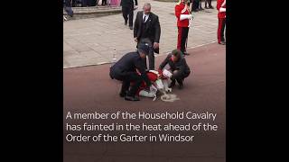 A Member Of The Household Cavalry Has Fainted
