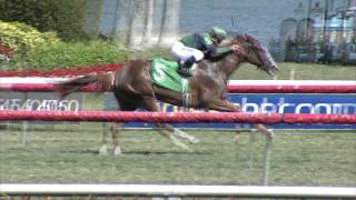 Gulfstream Park Replay Show | March 9, 2016