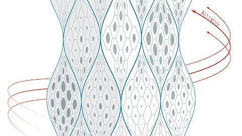 Animation Parametric Tower