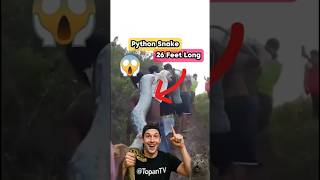 Villagers vs 26-Foot Python With Only Simple Tools! 😱