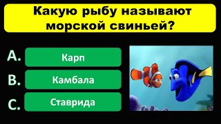 Сколько Вы знаете? | Интересный тест на эрудицию и кругозор | География, История, Страны.