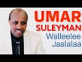 Sirboota Umar Suleyman Lovely Oromo Music HD Full Album Part 1