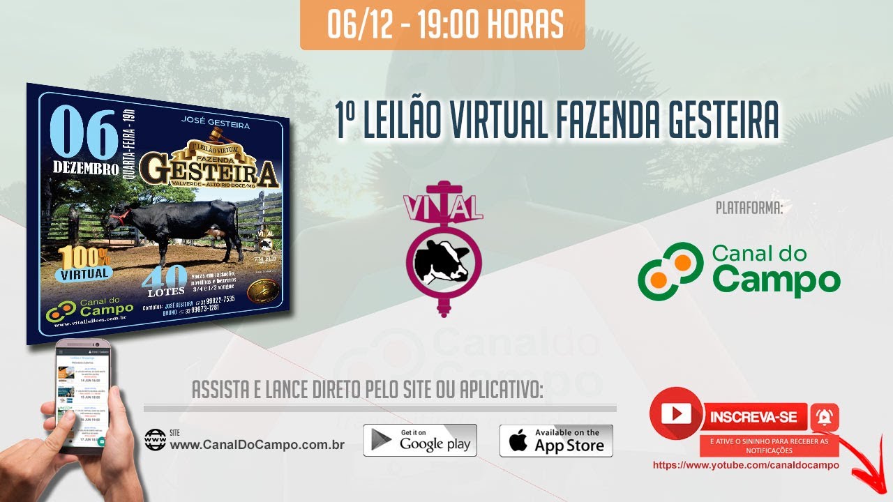 G1 > Games - NOTÍCIAS - Fazenda virtual abre novos territórios