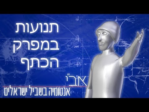 וִידֵאוֹ: מדוע התליין נקרא אדון הכתף