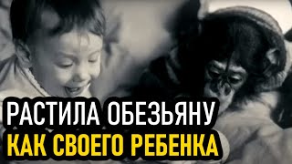 Обезьяночеловек. Обезьяна выросшая среди людей