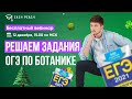 Решаем задания ОГЭ по ботанике | Илья Кац | Онлайн-школа EASY PEASY | ОГЭ биология