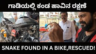 SNAKE RESCUE #135 (SNAKE FOUND IN A BIKE, RESCUED.)