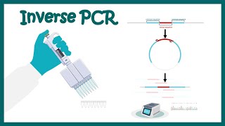 Inverse PCR