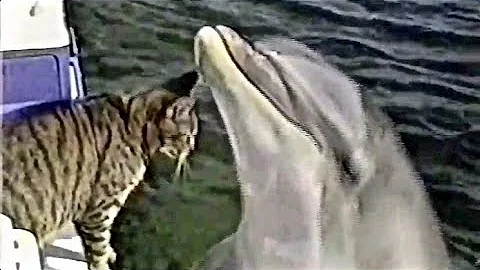 MAN AND BEAST - Part 33