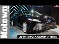 2019 Toyota Camry Hybrid | First Look | Motown India