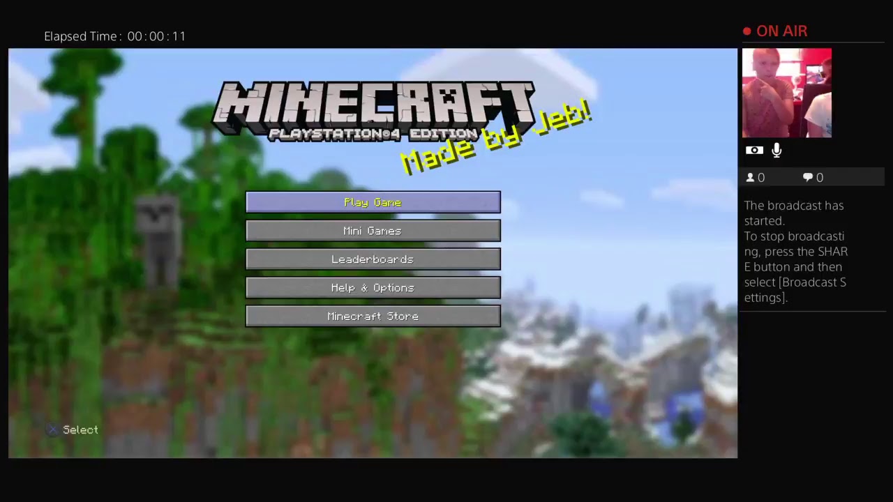 random stuff on minecraft 100000000000000000000000 youtube