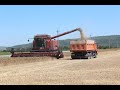 НА ЮГЕ РОССИИ НАЧАЛАСЬ УБОРКА ЗЕРНОВЫХ | ОДИН ДЕНЬ ГЛАЗАМИ КОМБАЙНЕРА | HARVESTING OF GRAIN CROPS