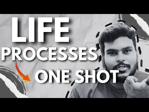🔥 Complete Life