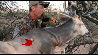 Deer smoked by Blowpipe plus Multiple dove Slocks, Filmed in 5k