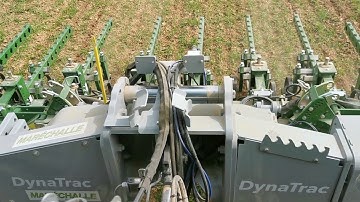 Row crop cultivator in a cereal field with DynaTrac Premium+ | LAFORGE