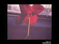 جوليا بطرس حبيبي⁩