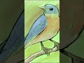 Desenhando um passaro #speeddrawing #speedsketching #bird #drawingabird #speedart #timelapseart