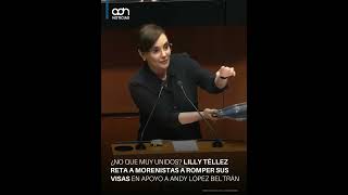 Lilly Téllez challenges Morena legislators to destroy their visas in support of Andrés Manuel Lóp...