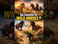Wild Horses: Top 10 Countries  #WildHorses #Top10 #Mustangs #Brumbies #WildlifeShorts #NatureShorts