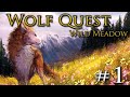 A Wild MEADOW of the Wolves!! 🐺 WOLF QUEST: WILD MEADOW • #1