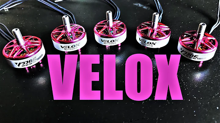 Too Good to be True?? Cheapest Tmotors Ever!