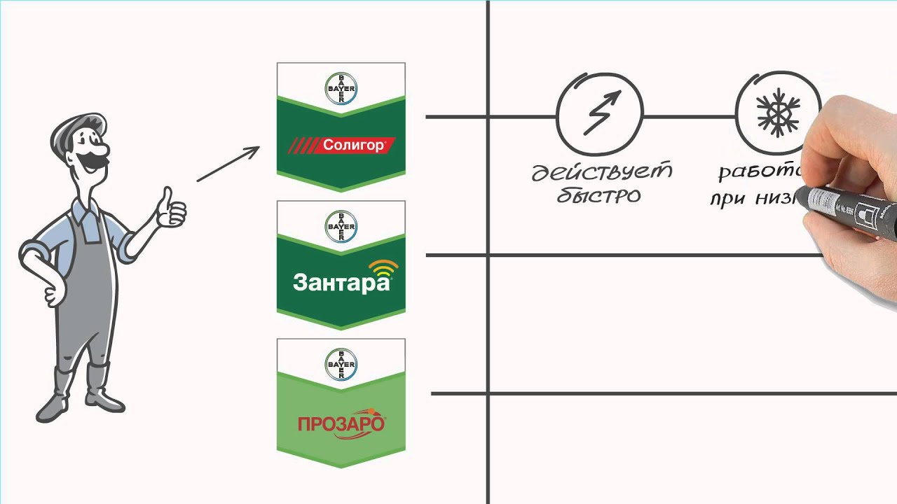 Польза фунгицидов для вашего урожая