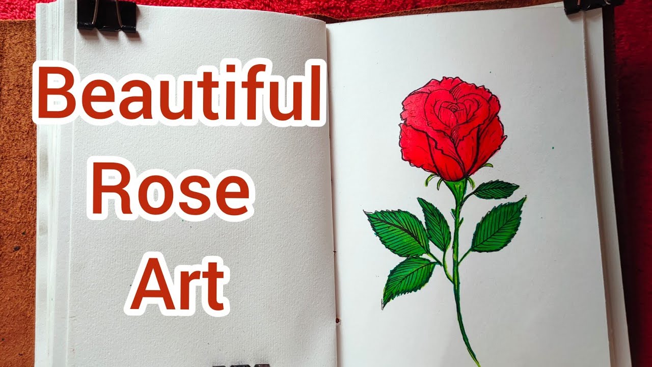 Rose red pen drawing