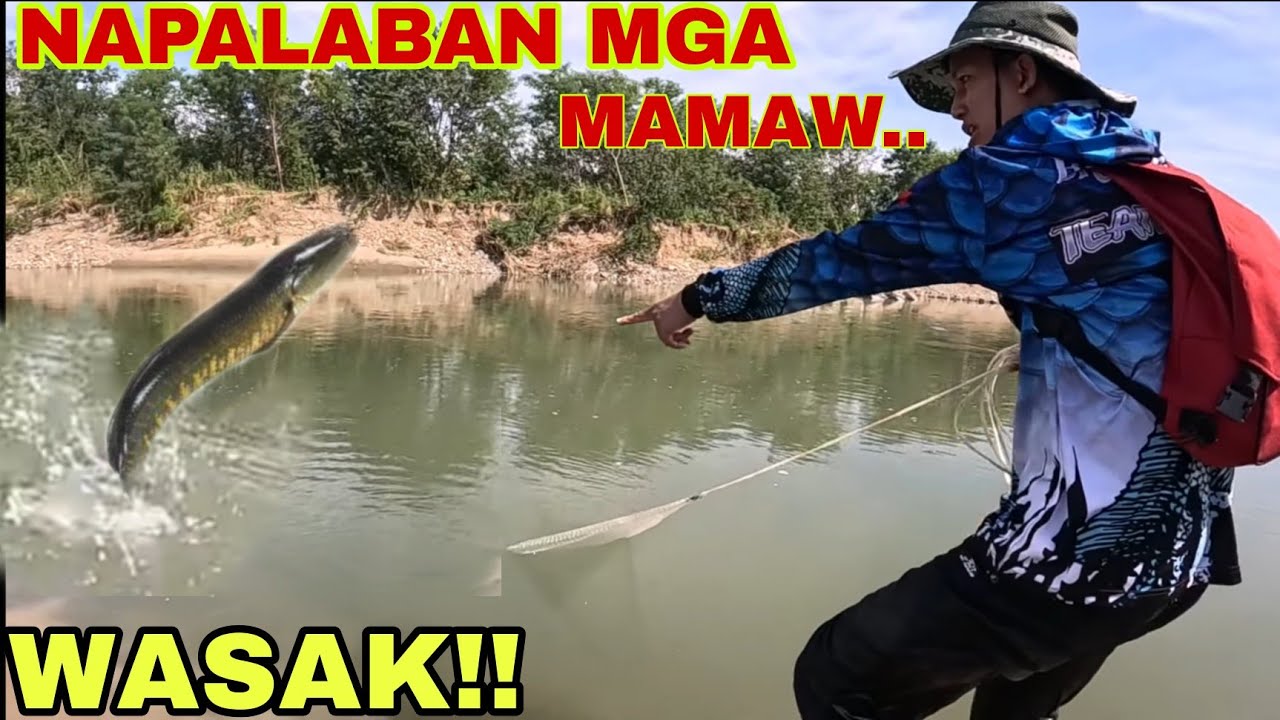 NAGSIPAGWALA MGA MAMAW NA DALAG SA LAMBAT CATCH AND COOK