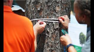 Project Learning Tree outside the traditional classroom