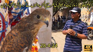 Lalukhet Exotic Birds Market 28-4-24 Karachi | پولیس نے لالوکھیت برڈزمارکیٹ کو نہیں لگنے دیا