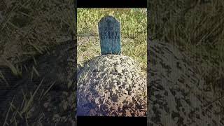 Graves 🪦 of all the Van Darlin Gang who fell