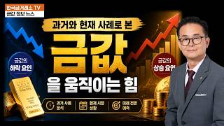 과거와 현재 사례로 본 금값을 움직이는 힘 (상승, 하락 요인 분석)