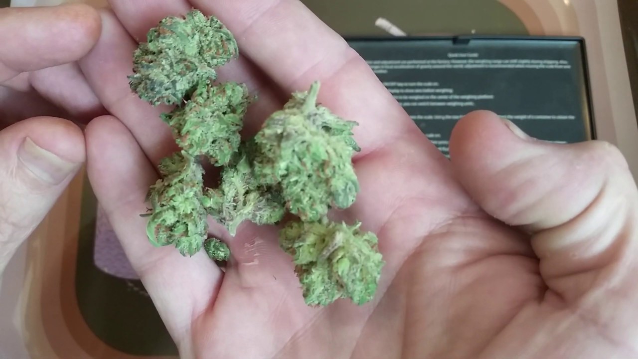GrowHealthy Bubba Kush 17%