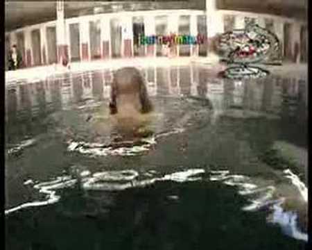 Documentary backdrop image for Healing Fish - Turkey (2007)