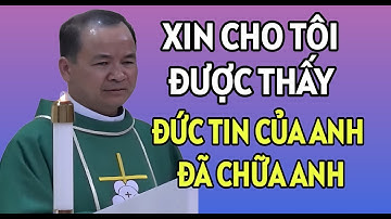 XIN CHO TÔI ĐƯỢC THẤY - ĐỨC TIN ĐÃ CỨU CHỮA ANH | CHA PHẠM TĨNH THUYẾT GIẢNG RẤT HAY