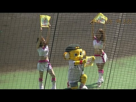 2015_7/29.甲子園二軍戦、５裏終了後 きー太と阪神園芸