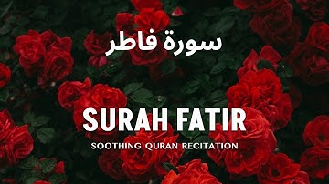 Surah Fatir - سورة فاطر | The Originator | #QuranicWisdom