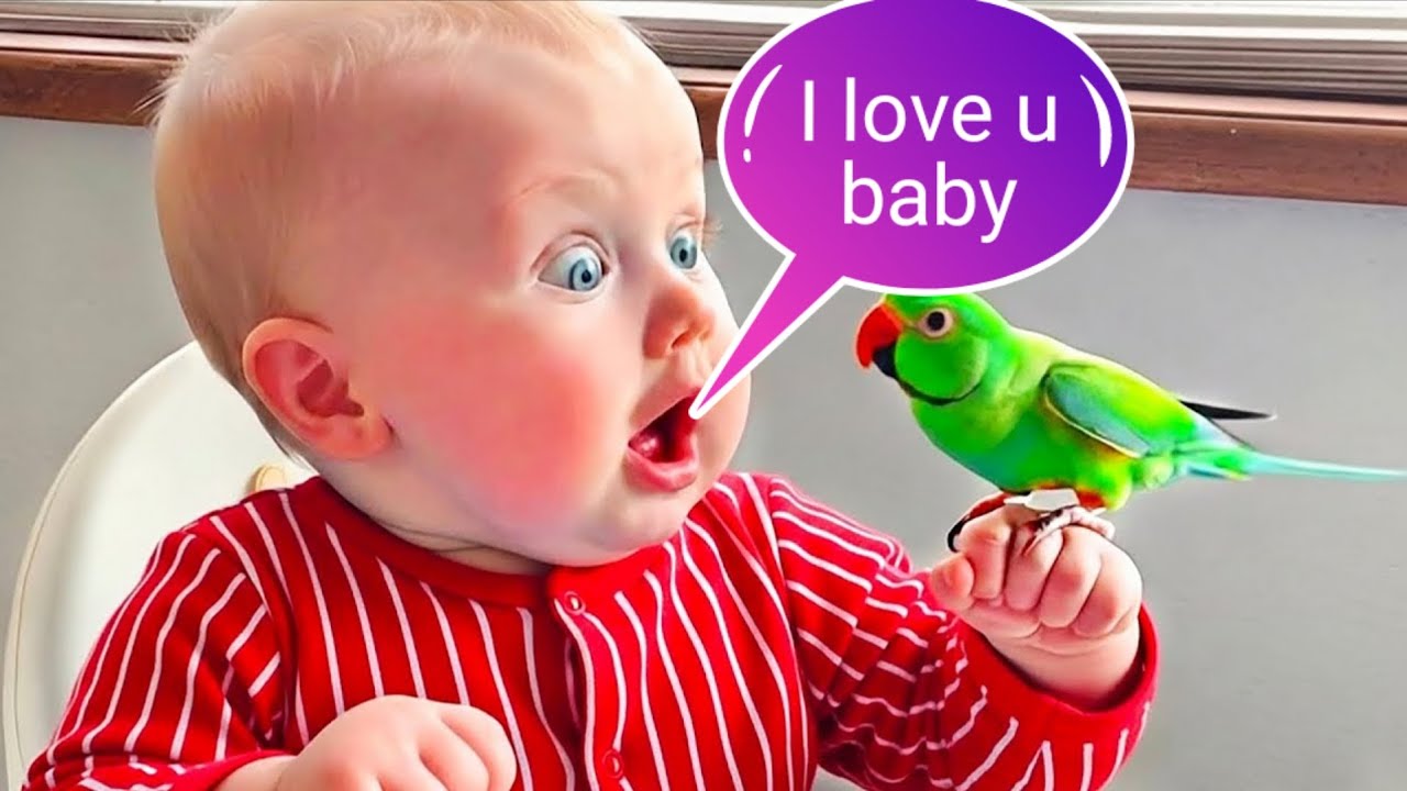 Twin Life In 20 Minutes: Cutest Twins Of The Week - Funny Baby Video || COOL PEACHY🍑