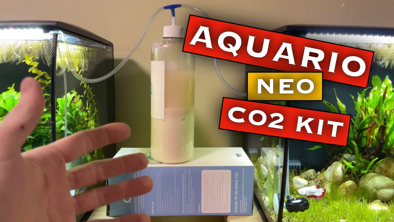 Aquario Neo Co2 Kit Review Youtube