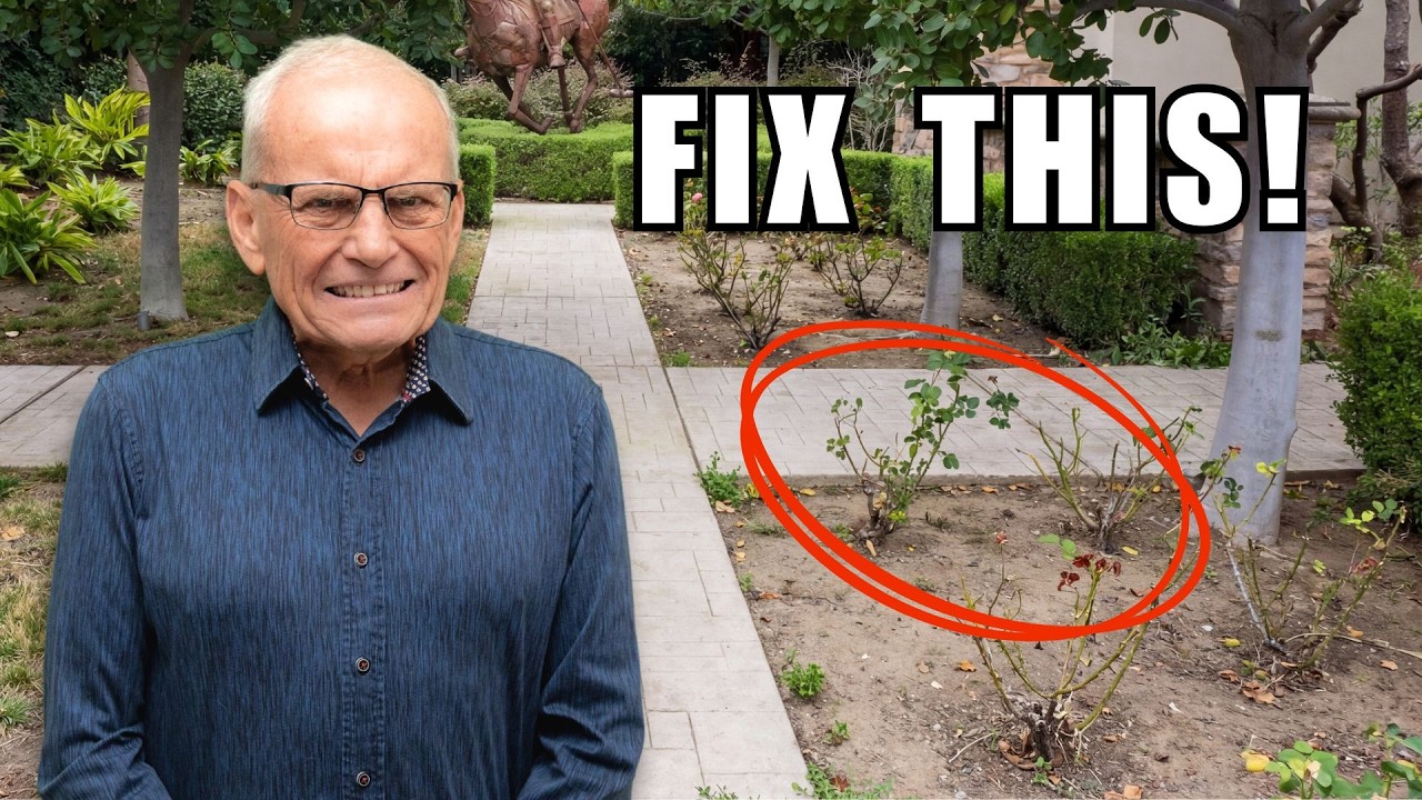 Why Your Landscape Always Looks Unhealthy (and How to Fix It FAST!)